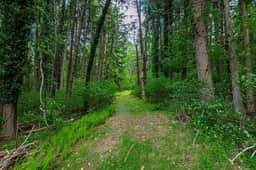 The Safe Harbor Home | Quiet Retreat, Fire Pit, Nature